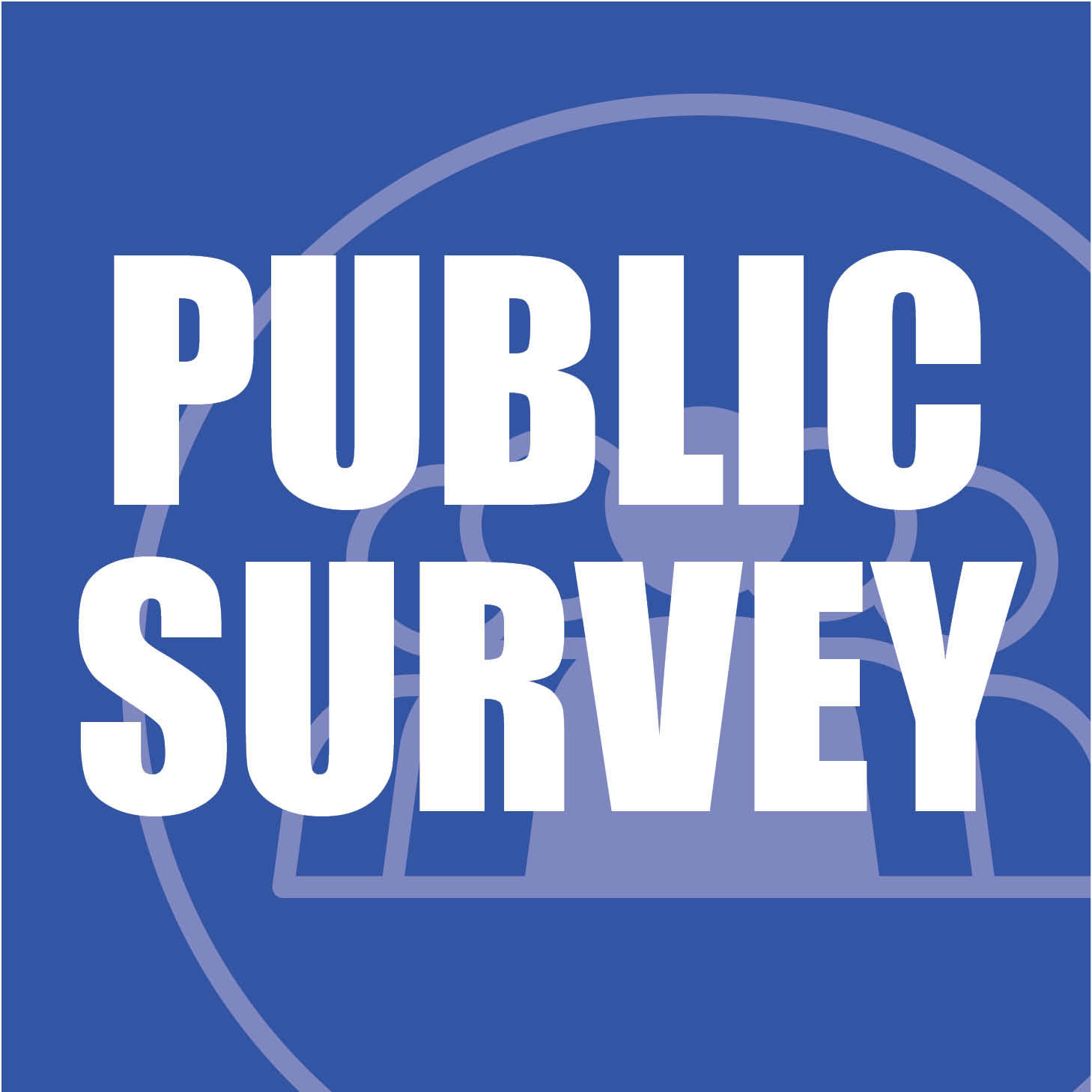 Public Survey