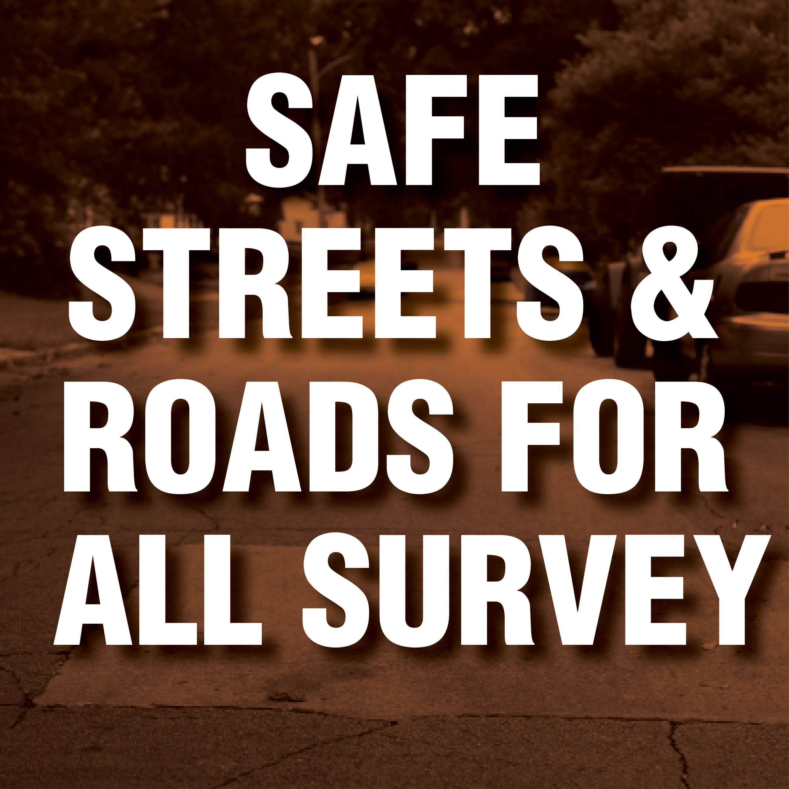 Safety Action Plan Survey